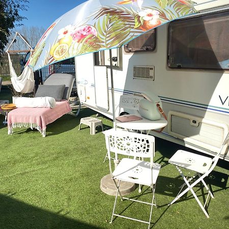 Gardencaravan Near Ghent In Green Area المظهر الخارجي الصورة