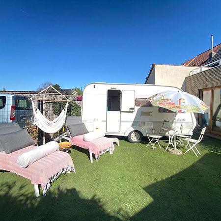 Gardencaravan Near Ghent In Green Area المظهر الخارجي الصورة