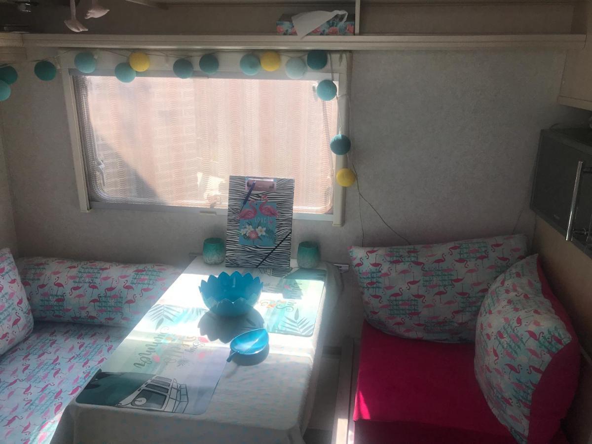 Gardencaravan Near Ghent In Green Area المظهر الخارجي الصورة