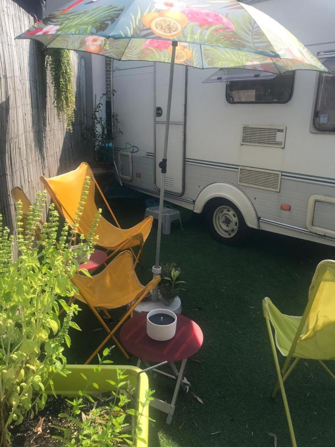Gardencaravan Near Ghent In Green Area المظهر الخارجي الصورة
