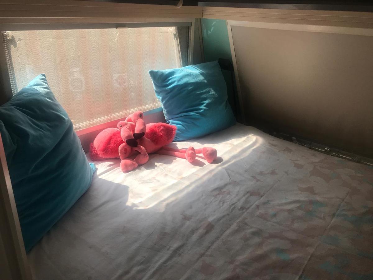 Gardencaravan Near Ghent In Green Area المظهر الخارجي الصورة